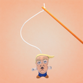 Orange Don